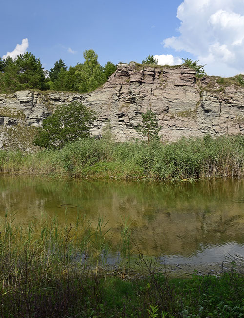 Natur im Steinbruch Bettenfeld Natur im Steinbruch Bettenfeld